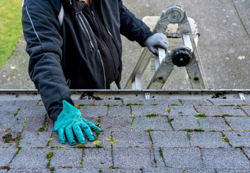 Three-Bedroom Home Roof Treatment for Lichen, Moss, Mould & Black Algae Removal - Option for up to Five-Bedroom Home