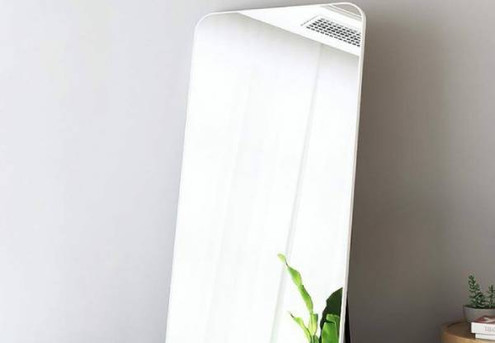 Full-Sized Body Mirror