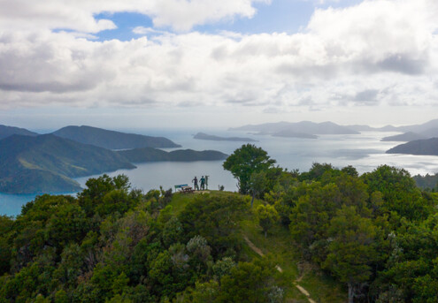 Queen Charlotte Track Day Walk with Cougar Line Cruise Transfers - Walk Punga Cove Resort to Eatwells Lookout - Options for Adult or Child