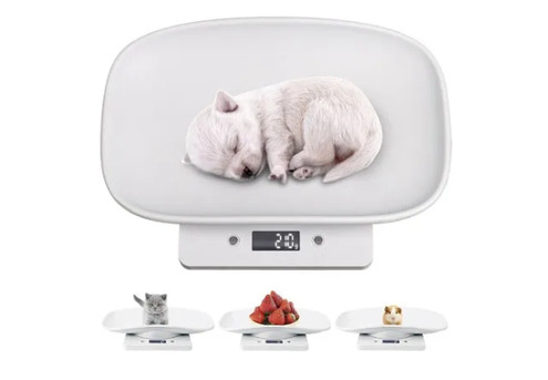 Digital Small Animal Weighing Scale