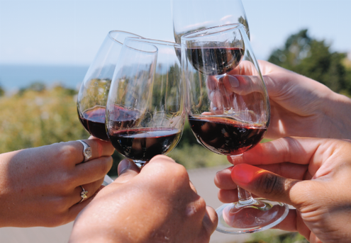 Waiheke Wine Tour for One Person incl. Three Wine Tastings at Three Wineries, Pick-Up & Drop-Off at The Ferry Terminal - Options for up to Ten People
