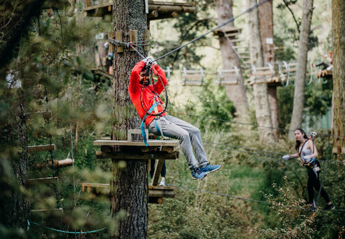 One Adult or Child Admission to Adrenalin Forest Park Porirua, Wellington - Valid Thursday to Sunday