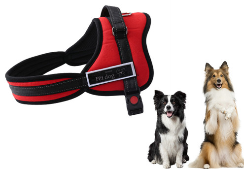 Adjustable Dog Harness with Padded Handle - Three Sizes Available