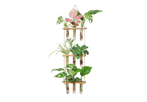 Three Tiered Wall Hanging Terrarium with Wooden Stand Hanging Tube Glass Vases