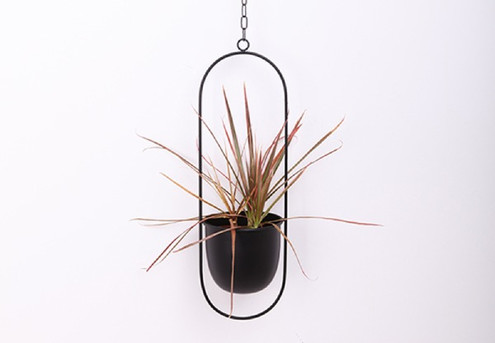 Garden Oval Plant Hanger - Two Colours Available