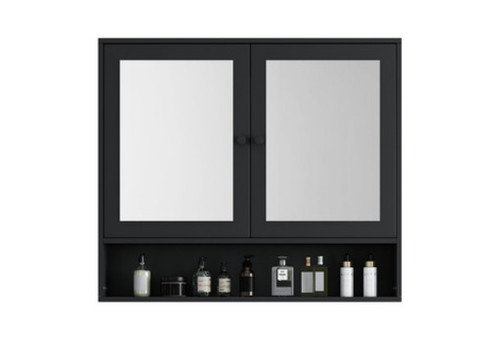 Bathroom Mirror Cabinet with Two Doors