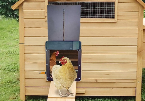 Light-Sensitive Automatic Chicken Door