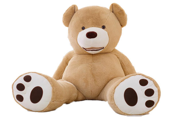 Giant teddy clearance nz