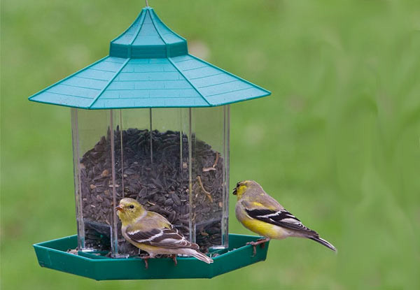 Hanging Bird Feeder Grabone Nz