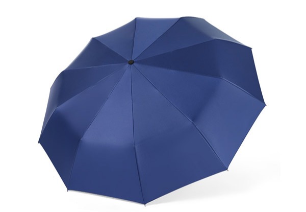 Automatic Windproof Travel Umbrella - Four Colours Available