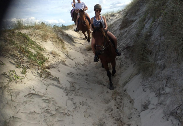 From $45 for a One-Hour Beach Horse Trek for One Person or $79 a Two-Hour Intermediate Trek for One Person – Options Available for Two People (value up to $158)