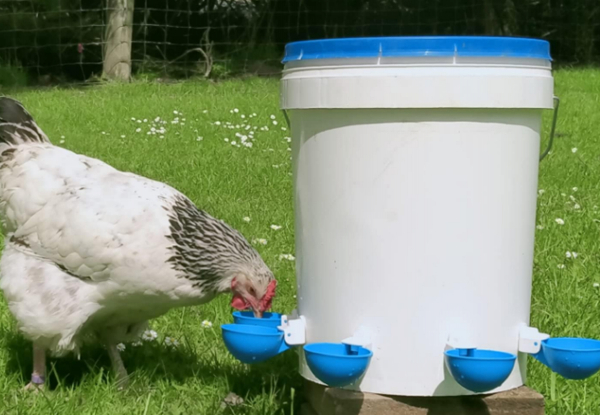 Five-Piece Automatic Chicken Waterer Cup - Available in Two Colours & Option for 10-Piece