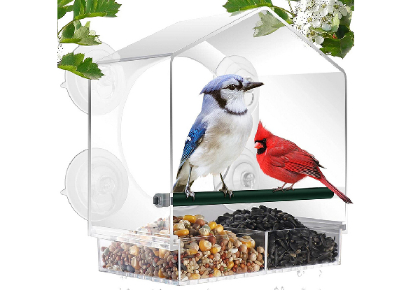 Ebern Designs Aunika Window Bird Feeder & Reviews