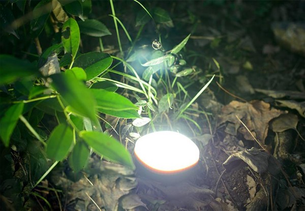 Outdoor Two-Pack Camping Magnetic Lamps with Free Delivery