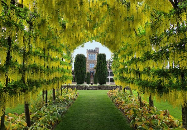 $17 for Entry to Larnach Castle incl. Full Castle & Gardens Access & Audio Tour (value up to $35)