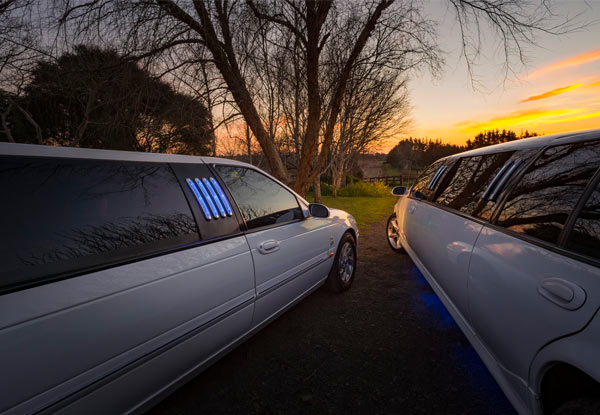 Two-Hour Premium Limousine Excursion for up to Six People