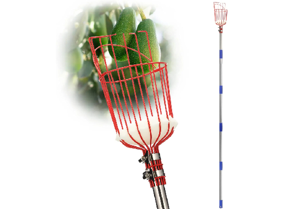 Fruit Picker Pole with Basket Telescoping