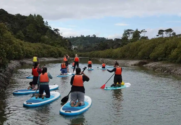 Lucas Creek Waterfall SuP Tour for One Adult