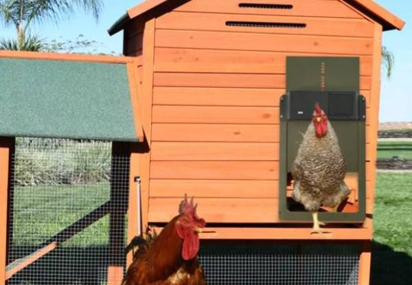 Automatic Chicken Coop Door Opener