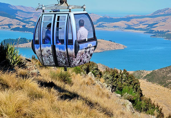 Adult Ticket for Christchurch's Sightseeing Gondola Experience - 72-Hour Flash Sale - While Stocks Last