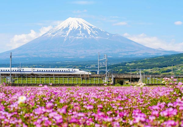 Per Person, Twin-Share Nine-Day Impressions of Japan Tour incl. International Flights, Accommodation, Transport, Attractions & English Speaking Guide - Option for a Solo Traveller