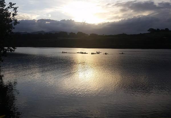 Three-Hour Glow Worm Kayak Trip