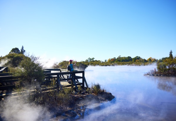 Family Pass to Whakarewarewa The Living Māori Village incl. One Hangi Pie Per Person – Option for Adult or Child Single Entry