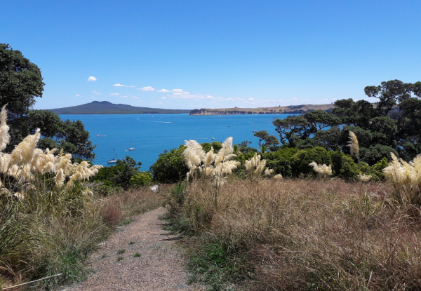 Riverhead Boat Cruise Pass incl. Drink - Option For Motuihe Ferry Day Trip