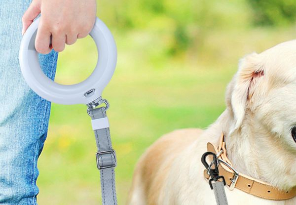 PaWz Extendable LED Dog Leash - Two Colours Available