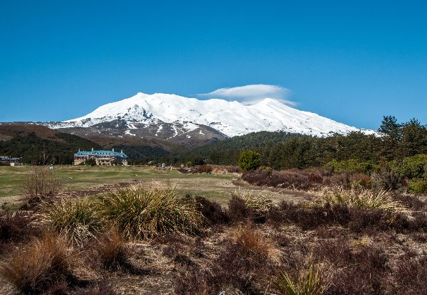 Per-Person, Twin-Share, Five-Day Taranaki Rhododendron Gardens Coach Tour incl. Knowledgeable Guide, Quality Accommodation, Private & Public Garden Experiences - Option for Solo Traveller