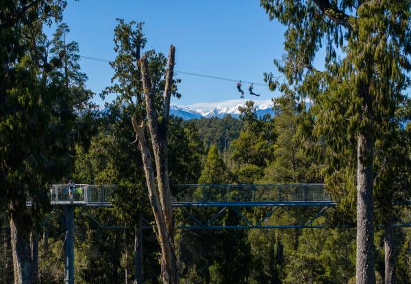Adult Pass to The West Coast Treetop Walkway - Option for Child or Senior