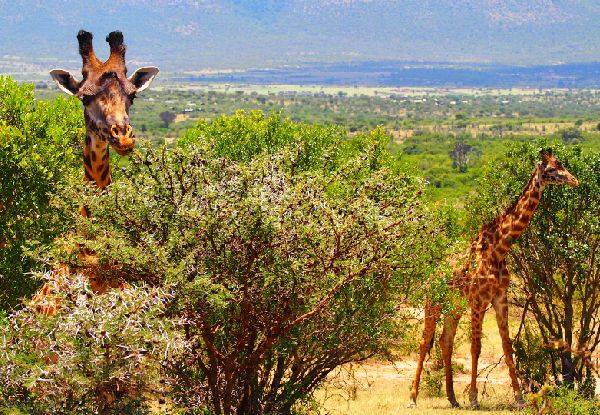 Per-Person, Twin-Share Nine-Night Botswana Family Adventure Safari incl. 4x4 Game Drive, Walks, Cultural Dinner & More