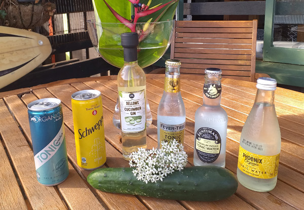Dellows Gold Medal Gin & Tonics Lovers Tasting for One Person incl. Tasting Board - Options for up to 10 People
