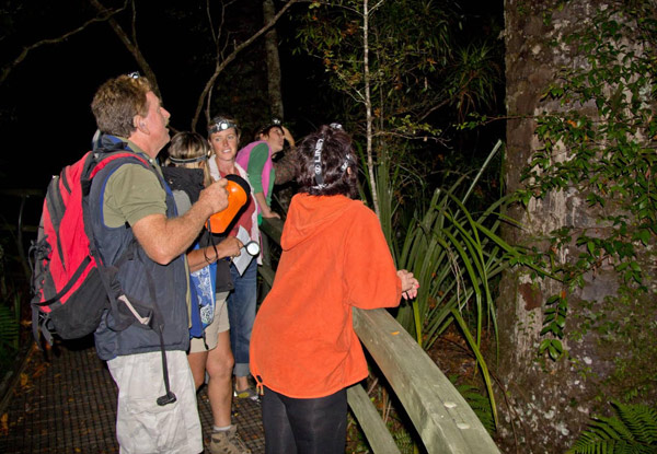 Three-Hour Night Rainforest Tour Family Pass for Two Adults & Two Children - Options for Four Adults or Single Adult/Child Pass
