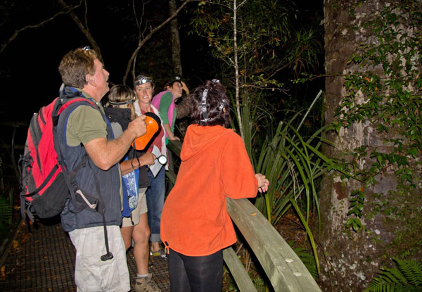 Two-Hour Night Rainforest Tour Adult Pass - Option for Children & Family Pass Available