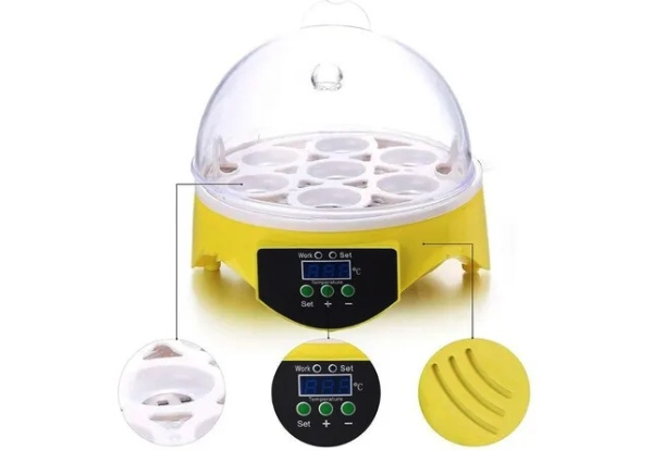 Seven-Eggs Incubator with Temperature Control and LED Display