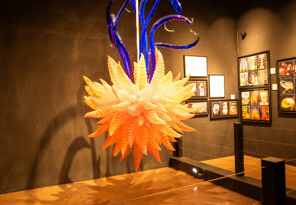 World-Class Art Adventure at Sculptureum Matakana incl. Garden & Gallery Entry - Options for up to Six People or Family Pass