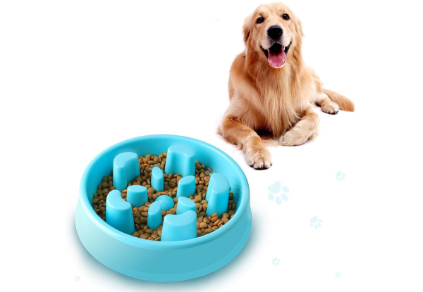 Slow Dog-Feeder Pet Bowl - Two Colours Available