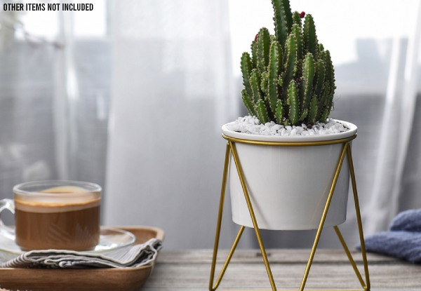 Ceramic Flower Pot with Triangle Geometric Metal Rack - Two Colours Available