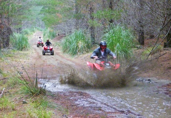 90-Minute 'Trail Blazer Safari' Quad Bike Adventure for One - Options for up to Six People