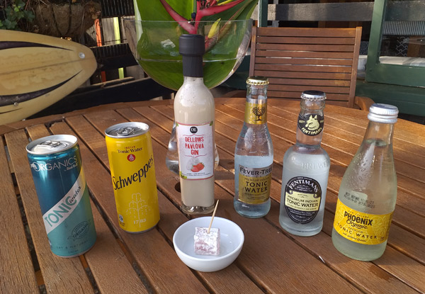 Dellows Gold Medal Gin & Tonics Lovers Tasting for One Person incl. Tasting Board - Options for up to 10 People