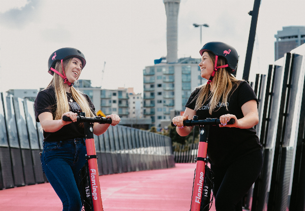 One Hour Flamingo Scooter Credit in Wellington - Option for Two Hours