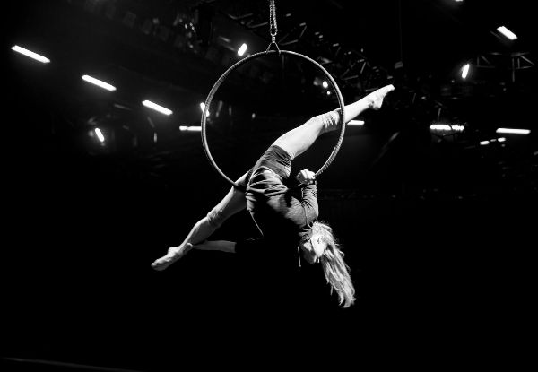 Three 90-Minute Circus Classes at Auckland's Premier Aerial Arts School for an Adult or Child - Option for a Full Term of Circus Classes Available - Penrose Location