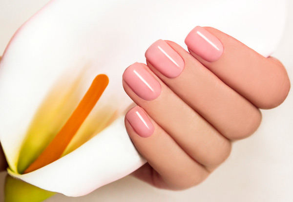 Gel Manicure or Gel Pedicure with an Option to incl. Both