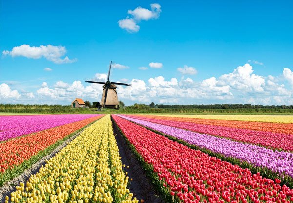 Per-Person Twin-Share 14-Day European Gardens Tour incl. Keukenhof Tulip Gardens, The 2019 Chelsea Flower Show, Meals, Accommodation & More