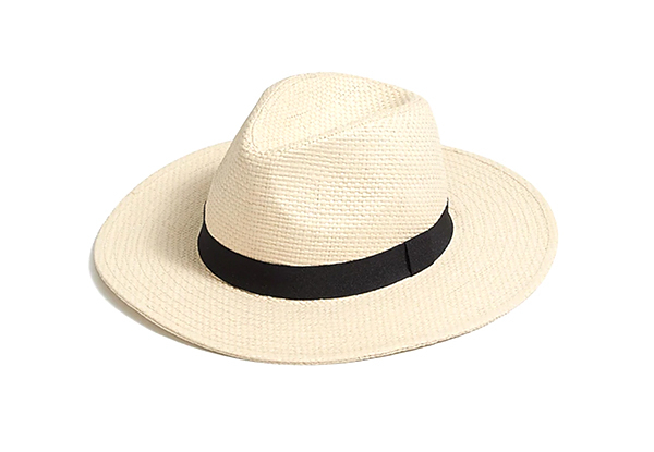 Stylish Panama Hat