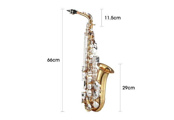 Melodic Alto Saxophone Brass with Mouthpiece, Case, Straps