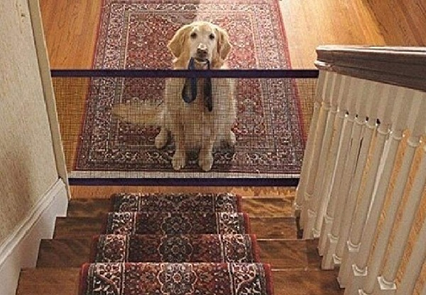 Home Pet Mesh Isolation Net - Option for Two