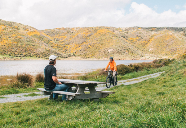 Four-Hour Mountain Bike Hire at Wildfinder Pencarrow
