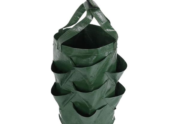 Hanging Strawberry Planting Bag - Three Colours Available & Option for Three-Pack